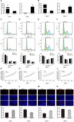 gga-mir-133a-3p Regulates Myoblasts Proliferation and Differentiation by Targeting PRRX1